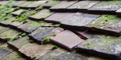 Castleton roof repair costs